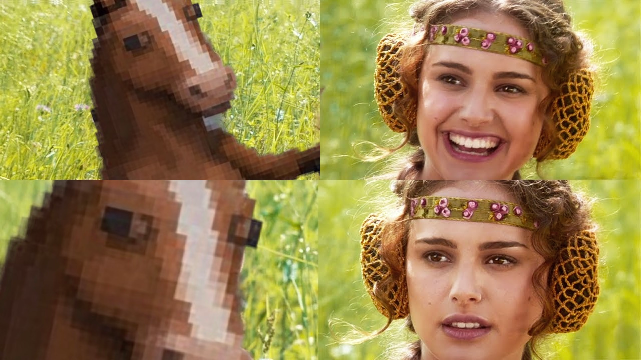 Horse in vent and Leia Blank Meme Template