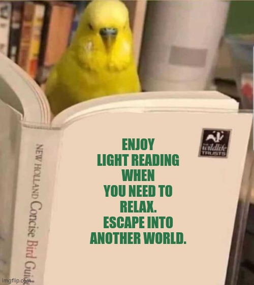 Enjoy light reading when you need to relax.  Escape into another world. | ENJOY LIGHT READING WHEN YOU NEED TO RELAX.
ESCAPE INTO ANOTHER WORLD. | image tagged in budgie,bird,reading,relax,autism,wellbeing | made w/ Imgflip meme maker