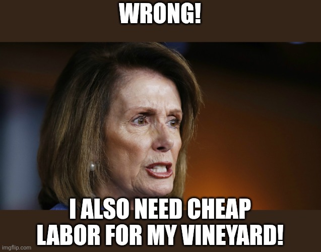 Angry Nancy Pelosi | WRONG! I ALSO NEED CHEAP LABOR FOR MY VINEYARD! | image tagged in angry nancy pelosi | made w/ Imgflip meme maker