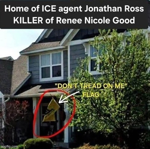 A warning flag for a killer? The "Don't Tread on Me" flag represents the idea that a person is dangerous when challenged. | image tagged in ice,killer,jonathan ross,renee nicole good,dont tread on me flag | made w/ Imgflip meme maker