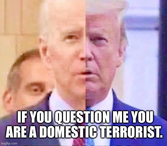 One party | IF YOU QUESTION ME YOU ARE A DOMESTIC TERRORIST. | image tagged in two sides of the same coin | made w/ Imgflip meme maker