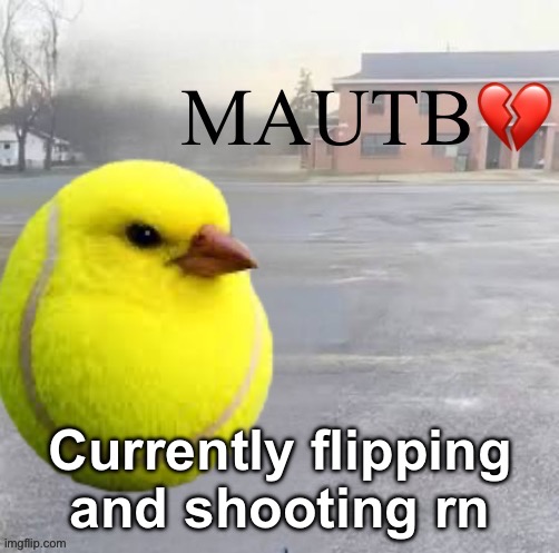 Mods Asleep, Upvote Tennis Bird | Currently flipping and shooting rn | image tagged in mods asleep upvote tennis bird | made w/ Imgflip meme maker