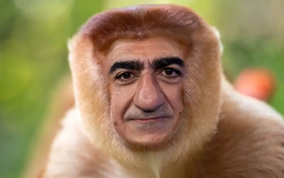 Reza nosacz Pahlavi Blank Meme Template