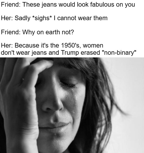 First World Problems | Friend: These jeans would look fabulous on you; Her: Sadly *sighs* I cannot wear them; Friend: Why on earth not? Her: Because it's the 1950's, women don't wear jeans and Trump erased "non-binary" | image tagged in memes,first world problems,gender identity,funny | made w/ Imgflip meme maker