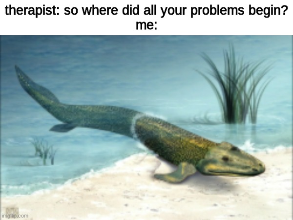 all of our problems can be traced back to a tikaalik | therapist: so where did all your problems begin?
me: | image tagged in memes,funy | made w/ Imgflip meme maker