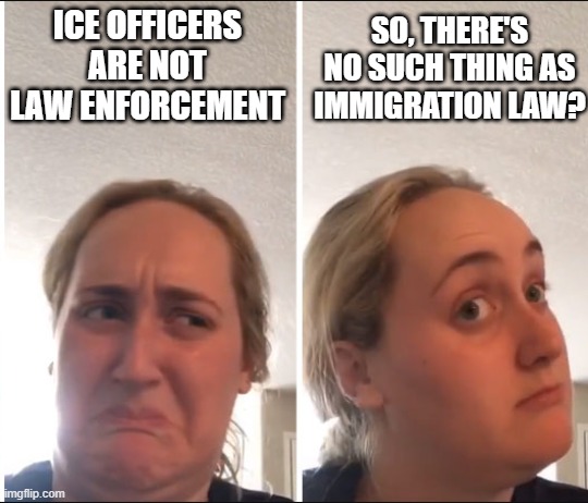 Libtards Sad Argument | ICE OFFICERS ARE NOT LAW ENFORCEMENT; SO, THERE'S NO SUCH THING AS IMMIGRATION LAW? | image tagged in kombucha girl | made w/ Imgflip meme maker