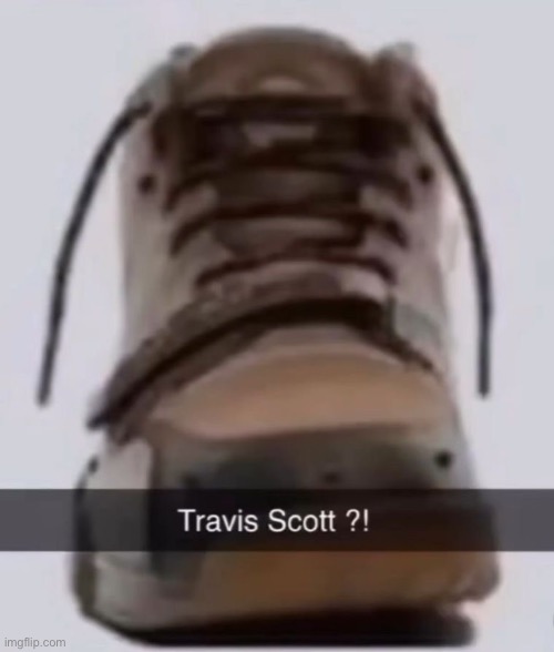 Travis scott ?! | image tagged in travis scott | made w/ Imgflip meme maker