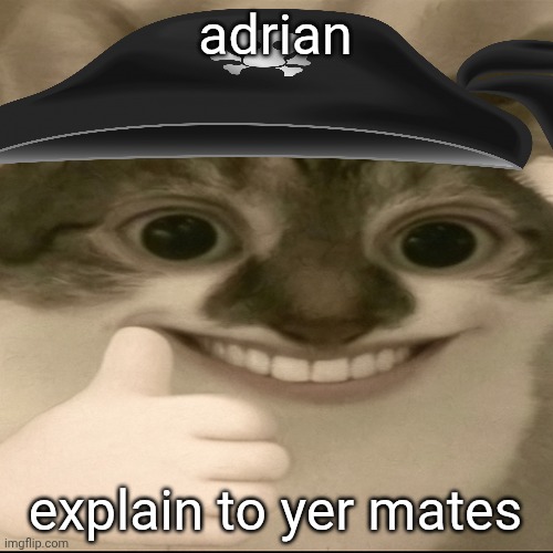bombastic side eye cat v3 | adrian; explain to yer mates | image tagged in bombastic side eye cat v3 | made w/ Imgflip meme maker