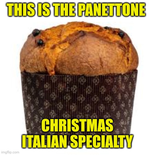 panettone | THIS IS THE PANETTONE; CHRISTMAS ITALIAN SPECIALTY | image tagged in panettone | made w/ Imgflip meme maker
