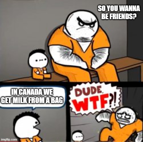 What are you in here for | SO YOU WANNA BE FRIENDS? IN CANADA WE GET MILK FROM A BAG | image tagged in what are you in here for | made w/ Imgflip meme maker