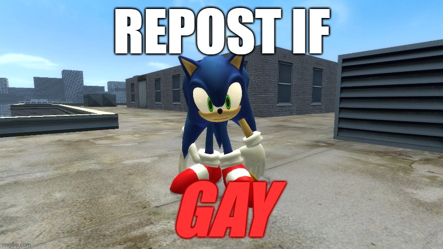 repost if | GAY | image tagged in repost if | made w/ Imgflip meme maker