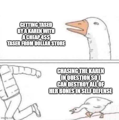 I hate Karens | GETTING TASED BY A KAREN WITH A CHEAP 4$$ TASER FROM DOLLAR STORE; CHASING THE KAREN IN QUESTION SO I CAN DESTROY ALL OF HER BONES IN SELF DEFENSE | image tagged in goose chase | made w/ Imgflip meme maker