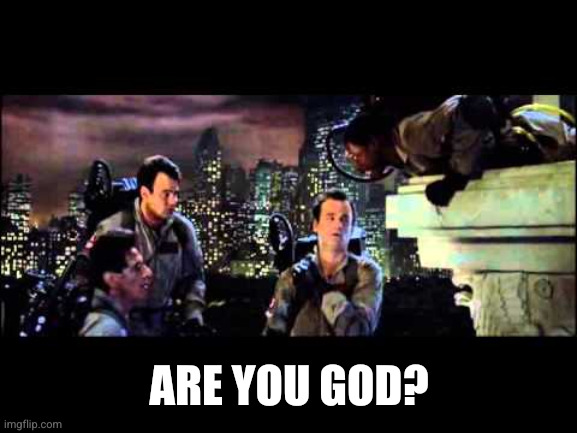 ARE YOU GOD? | image tagged in ghostbusters are you a god | made w/ Imgflip meme maker