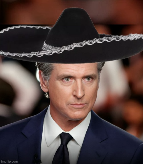 Greasy Gavin Newsom Blank Meme Template