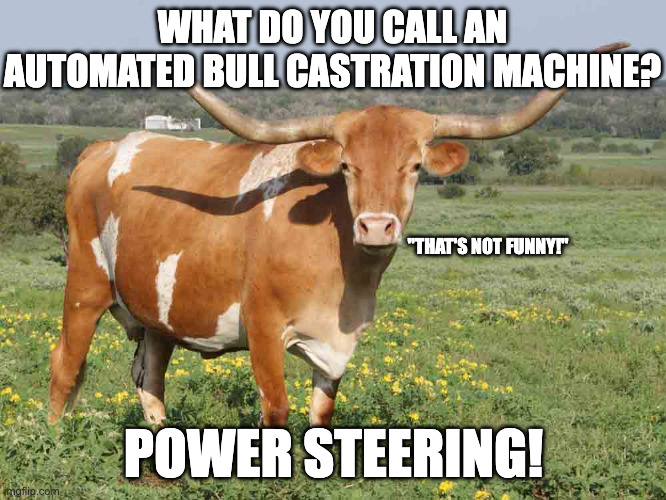 Power Steering | WHAT DO YOU CALL AN AUTOMATED BULL CASTRATION MACHINE? "THAT'S NOT FUNNY!"; POWER STEERING! | image tagged in bad pun,puns,terrible puns | made w/ Imgflip meme maker
