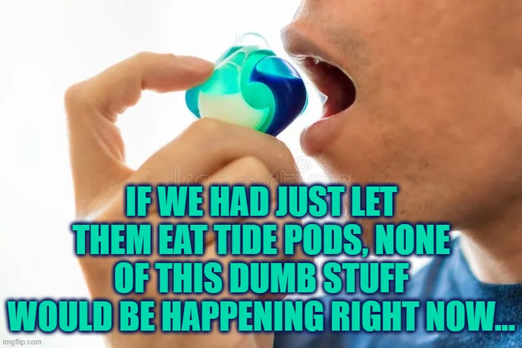 ICE would be able to do their job without being shot at, beat up, spit on, doxed, needing to wear masks, etc. | IF WE HAD JUST LET THEM EAT TIDE PODS, NONE OF THIS DUMB STUFF WOULD BE HAPPENING RIGHT NOW... | image tagged in ice needs to do their job,leave ice alone | made w/ Imgflip meme maker