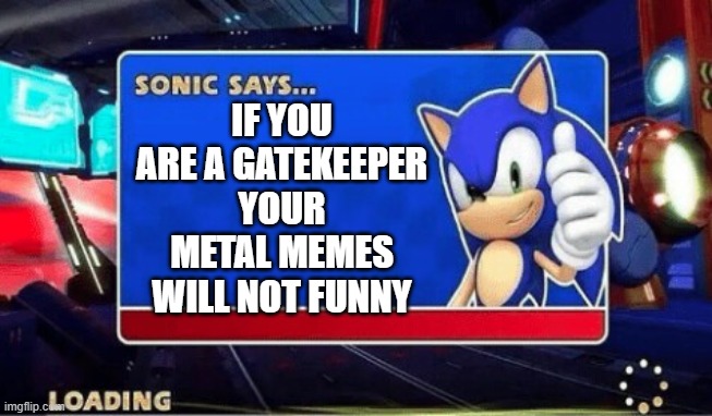 Sonic Says | IF YOU ARE A GATEKEEPER YOUR METAL MEMES WILL NOT FUNNY | image tagged in sonic says | made w/ Imgflip meme maker