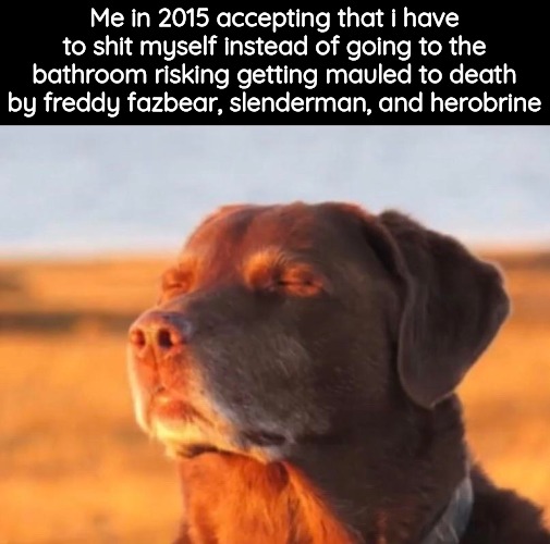 . | Me in 2015 accepting that i have to shit myself instead of going to the bathroom risking getting mauled to death by freddy fazbear, slenderman, and herobrine | image tagged in dog accepting fate,tag | made w/ Imgflip meme maker