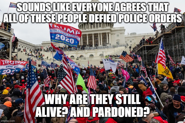 govt doesnt shoot unarmed people including Americans | SOUNDS LIKE EVERYONE AGREES THAT ALL OF THESE PEOPLE DEFIED POLICE ORDERS; WHY ARE THEY STILL ALIVE? AND PARDONED? | image tagged in jan 6 riot capitol | made w/ Imgflip meme maker