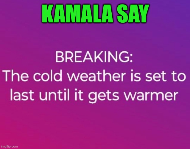 Kamala say | KAMALA SAY | image tagged in cold weather | made w/ Imgflip meme maker