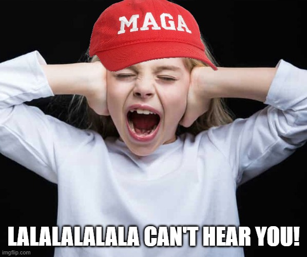 Cover ears, not listening | LALALALALALA CAN'T HEAR YOU! | image tagged in cover ears not listening | made w/ Imgflip meme maker