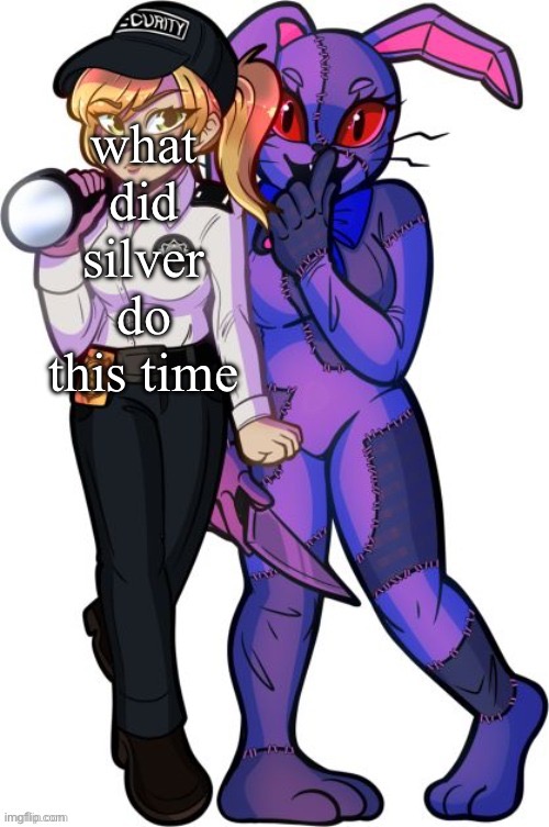 vanny and vanessa | what did silver do this time | image tagged in vanny and vanessa | made w/ Imgflip meme maker
