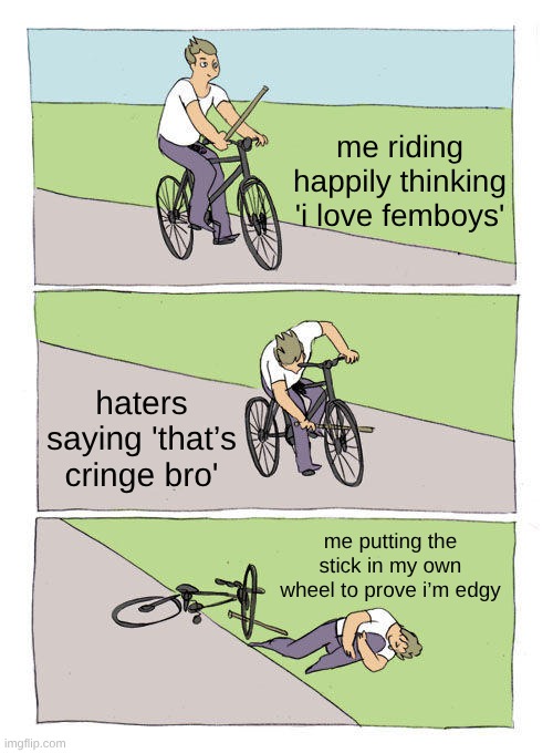 fem | me riding happily thinking 'i love femboys'; haters saying 'that’s cringe bro'; me putting the stick in my own wheel to prove i’m edgy | image tagged in memes,bike fall | made w/ Imgflip meme maker