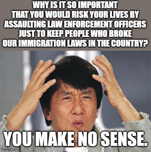 What is so important about them being here?  They broke our laws.   They need to go home.  It's not your right to keep them here | WHY IS IT SO IMPORTANT THAT YOU WOULD RISK YOUR LIVES BY ASSAULTING LAW ENFORCEMENT OFFICERS JUST TO KEEP PEOPLE WHO BROKE OUR IMMIGRATION LAWS IN THE COUNTRY? YOU MAKE NO SENSE. | image tagged in do you need their illegal votes,your cause is not righteous,you're just being insane | made w/ Imgflip meme maker