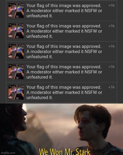 verdict: harassment is against the terms of service | image tagged in we won mr stark | made w/ Imgflip meme maker