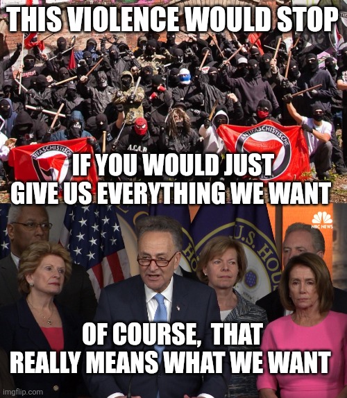 THIS VIOLENCE WOULD STOP; IF YOU WOULD JUST GIVE US EVERYTHING WE WANT; OF COURSE,  THAT REALLY MEANS WHAT WE WANT | image tagged in antifa,democrat congressmen | made w/ Imgflip meme maker
