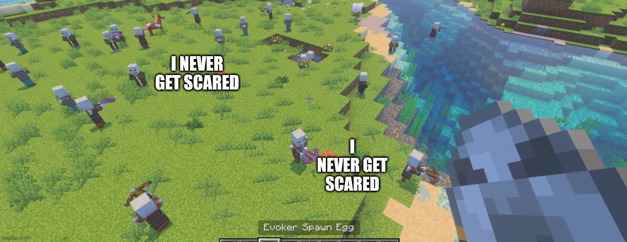 Illagers | I NEVER GET SCARED; I NEVER GET SCARED | image tagged in illagers | made w/ Imgflip meme maker