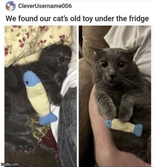 upvote bc wholesome post | made w/ Imgflip meme maker