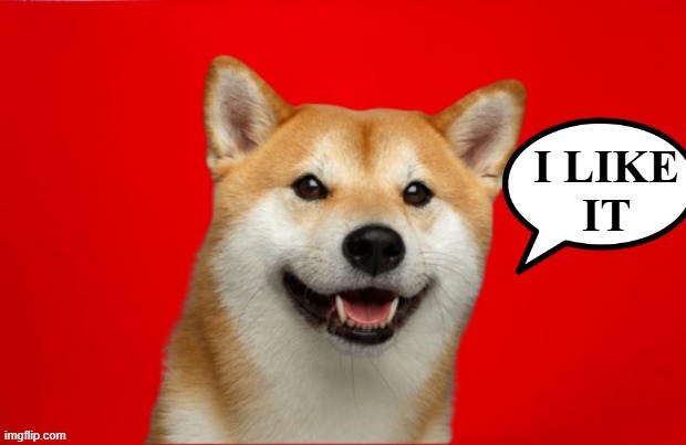 DogePadre Says | I LIKE
IT | image tagged in dogepadre says | made w/ Imgflip meme maker