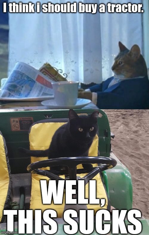 Cat buys a tractor | I think i should buy a tractor. WELL, THIS SUCKS | image tagged in memes,i should buy a boat cat,cat,cats | made w/ Imgflip meme maker