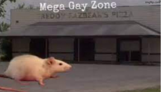 Mega gay zone | image tagged in mega gay zone | made w/ Imgflip meme maker