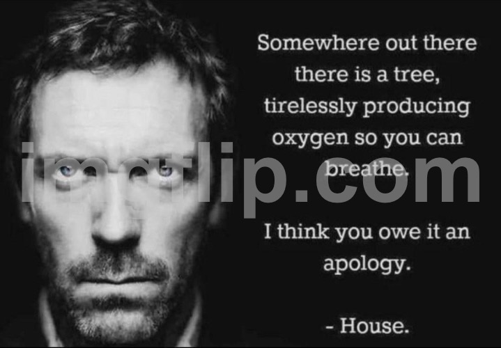 image tagged in -house | made w/ Imgflip meme maker