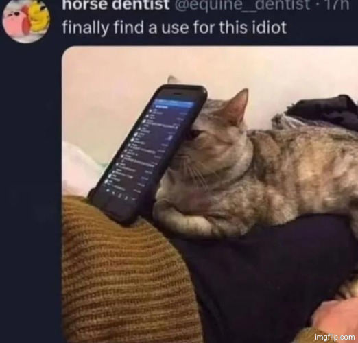 kitty | made w/ Imgflip meme maker