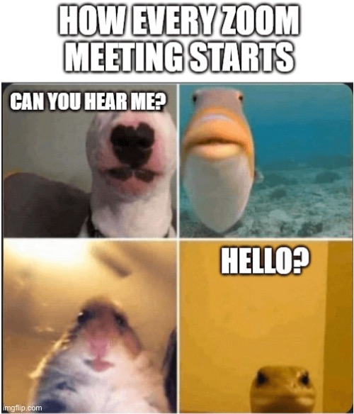 Day 1 of posting what Google Images considers a good meme | made w/ Imgflip meme maker