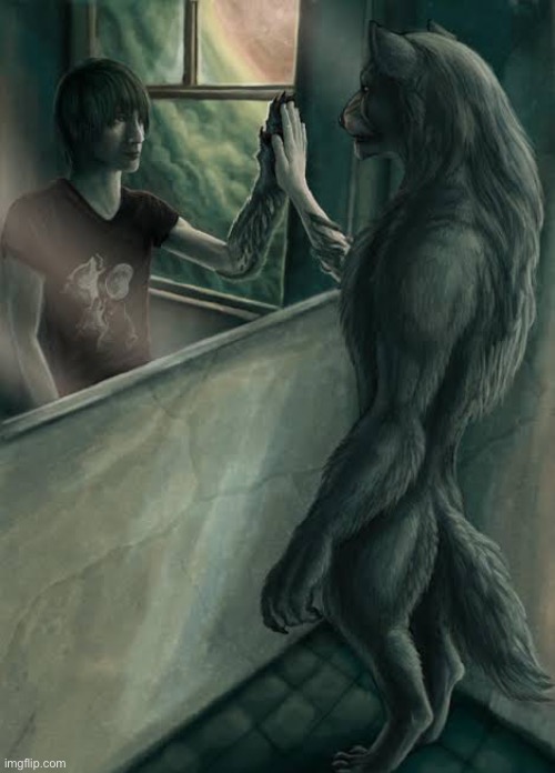 Wolf looking in mirror | image tagged in wolf looking in mirror | made w/ Imgflip meme maker