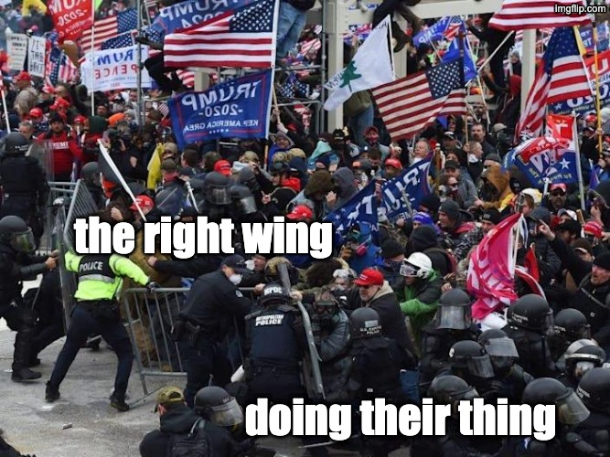 Cop-killer MAGA right wing Capitol Riot January 6th | the right wing doing their thing | image tagged in cop-killer maga right wing capitol riot january 6th | made w/ Imgflip meme maker