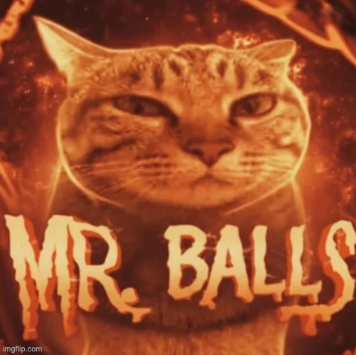 Mr. Balls | image tagged in mr balls | made w/ Imgflip meme maker