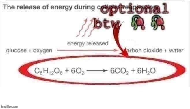 optional btw | image tagged in optional btw | made w/ Imgflip meme maker
