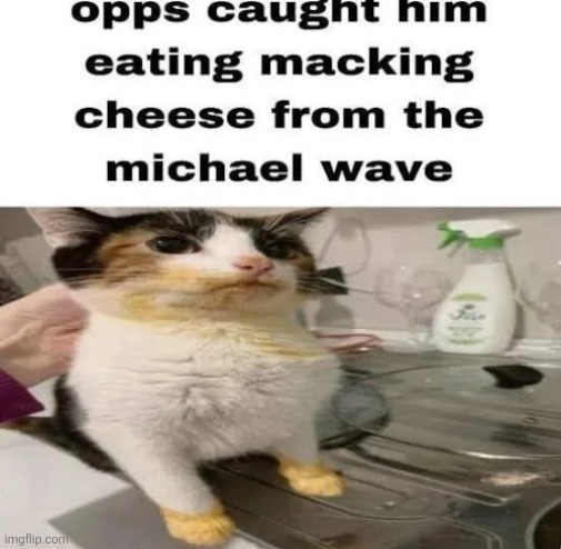 opps caught him

eating macking cheese from the michael wave | made w/ Imgflip meme maker
