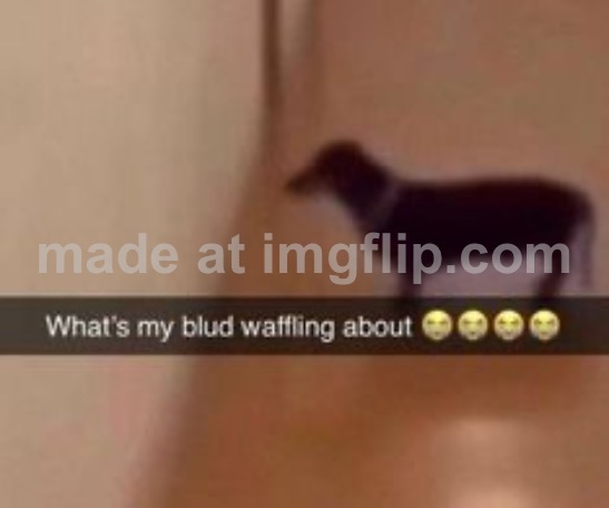What's my blud waffling about | image tagged in what's my blud waffling about | made w/ Imgflip meme maker
