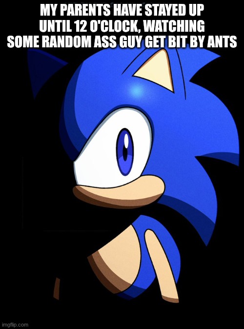 Sonic Blank Stare In The Dark | MY PARENTS HAVE STAYED UP UNTIL 12 O'CLOCK, WATCHING SOME RANDOM ASS GUY GET BIT BY ANTS | image tagged in sonic blank stare in the dark | made w/ Imgflip meme maker