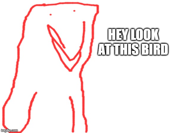 hey look at this bird | image tagged in heybird | made w/ Imgflip meme maker