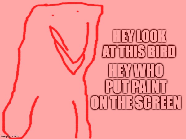 tint | HEY WHO PUT PAINT ON THE SCREEN | image tagged in heybird | made w/ Imgflip meme maker
