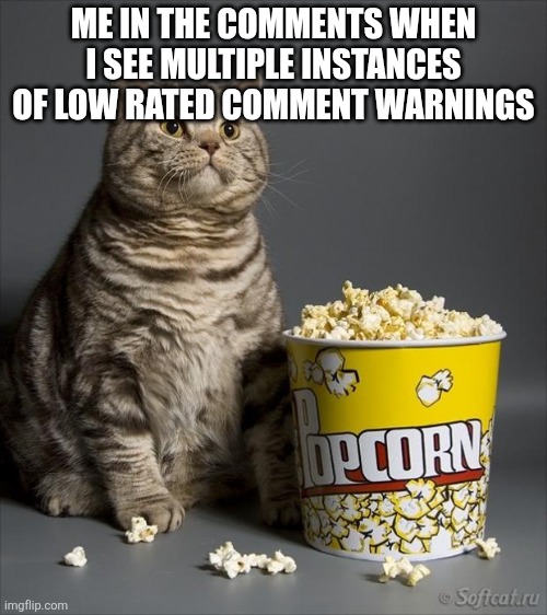 low rated comment (click to show) | ME IN THE COMMENTS WHEN I SEE MULTIPLE INSTANCES OF LOW RATED COMMENT WARNINGS | image tagged in cat eating popcorn,comments,imgflip,argument | made w/ Imgflip meme maker