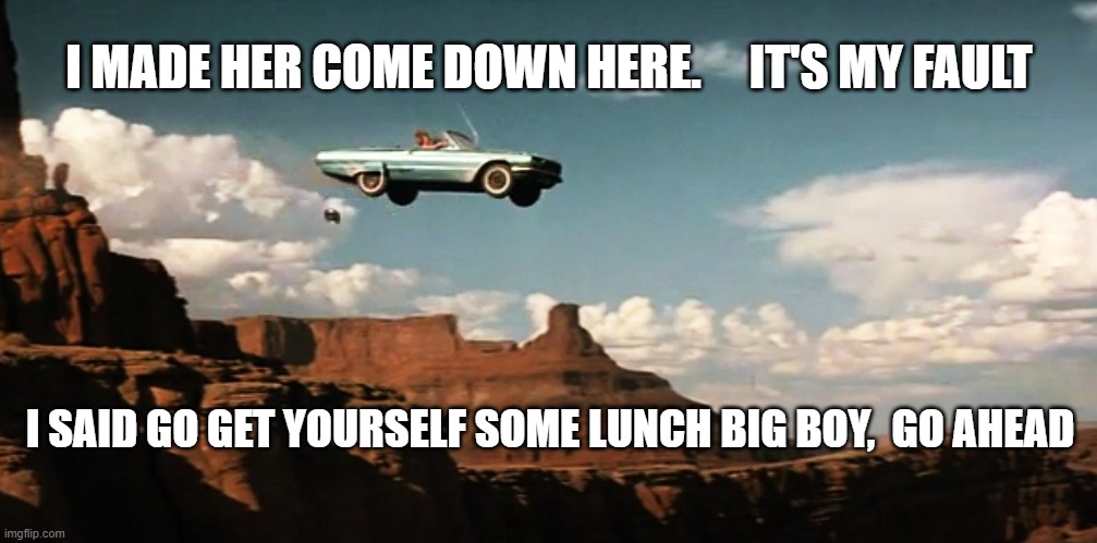 Thelma and Louise Airborne | I MADE HER COME DOWN HERE.     IT'S MY FAULT; I SAID GO GET YOURSELF SOME LUNCH BIG BOY,  GO AHEAD | image tagged in thelma and louise airborne | made w/ Imgflip meme maker