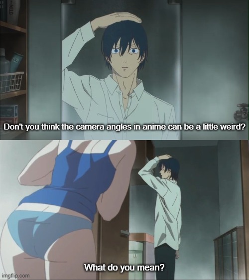 Not counting the movie, this was Himeno's final shot & we're thankful for it | Don't you think the camera angles in anime can be a little weird? What do you mean? | image tagged in chainsaw man,anime,memes,csm,aki hayakawa,himeno | made w/ Imgflip meme maker